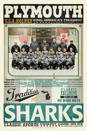Team Vintage [Team Item]